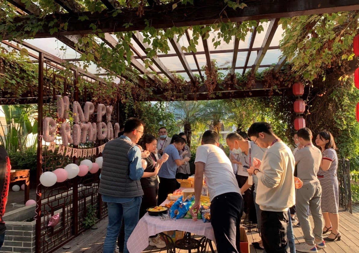 国微|微电子|芯片