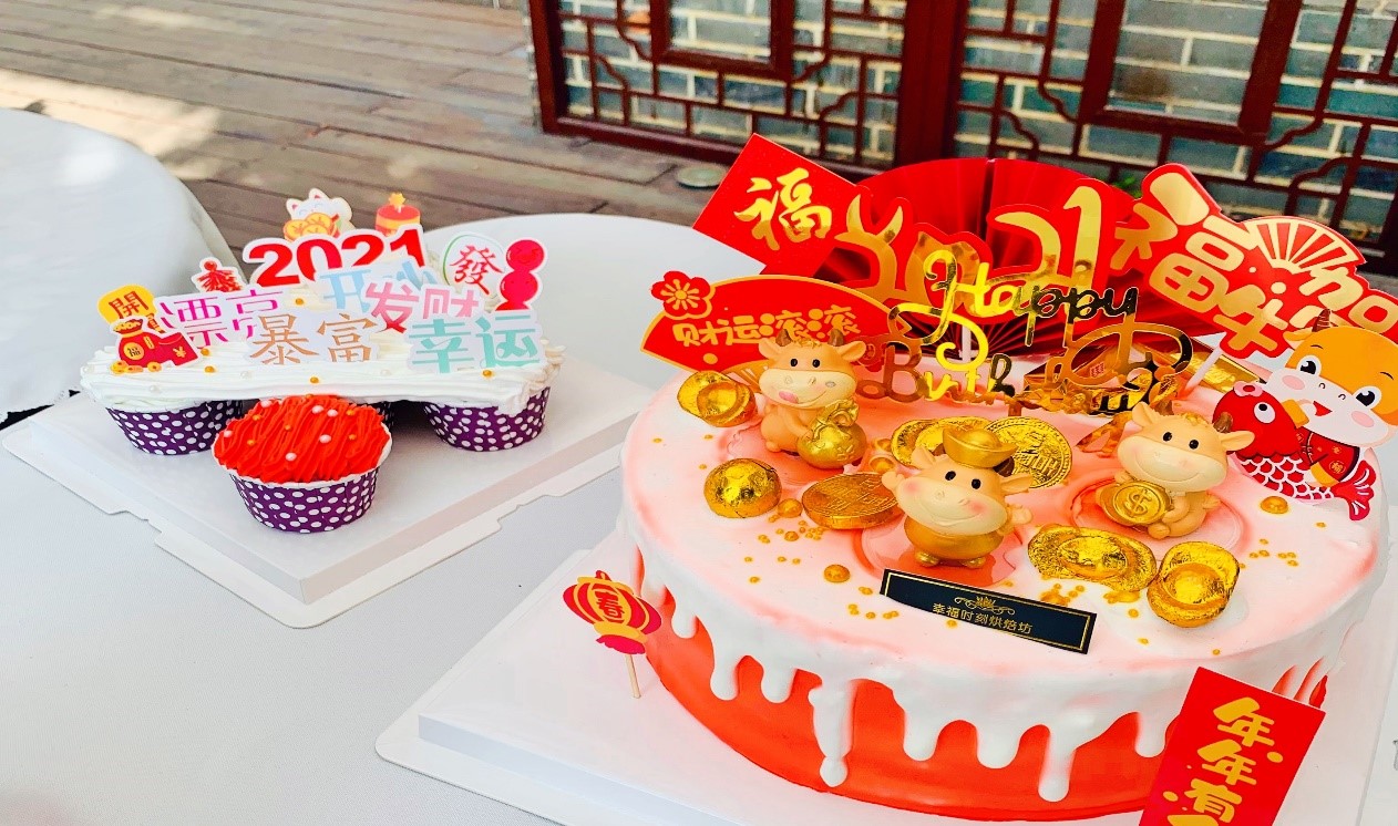 国微|微电子|芯片 国微|微电子|芯片