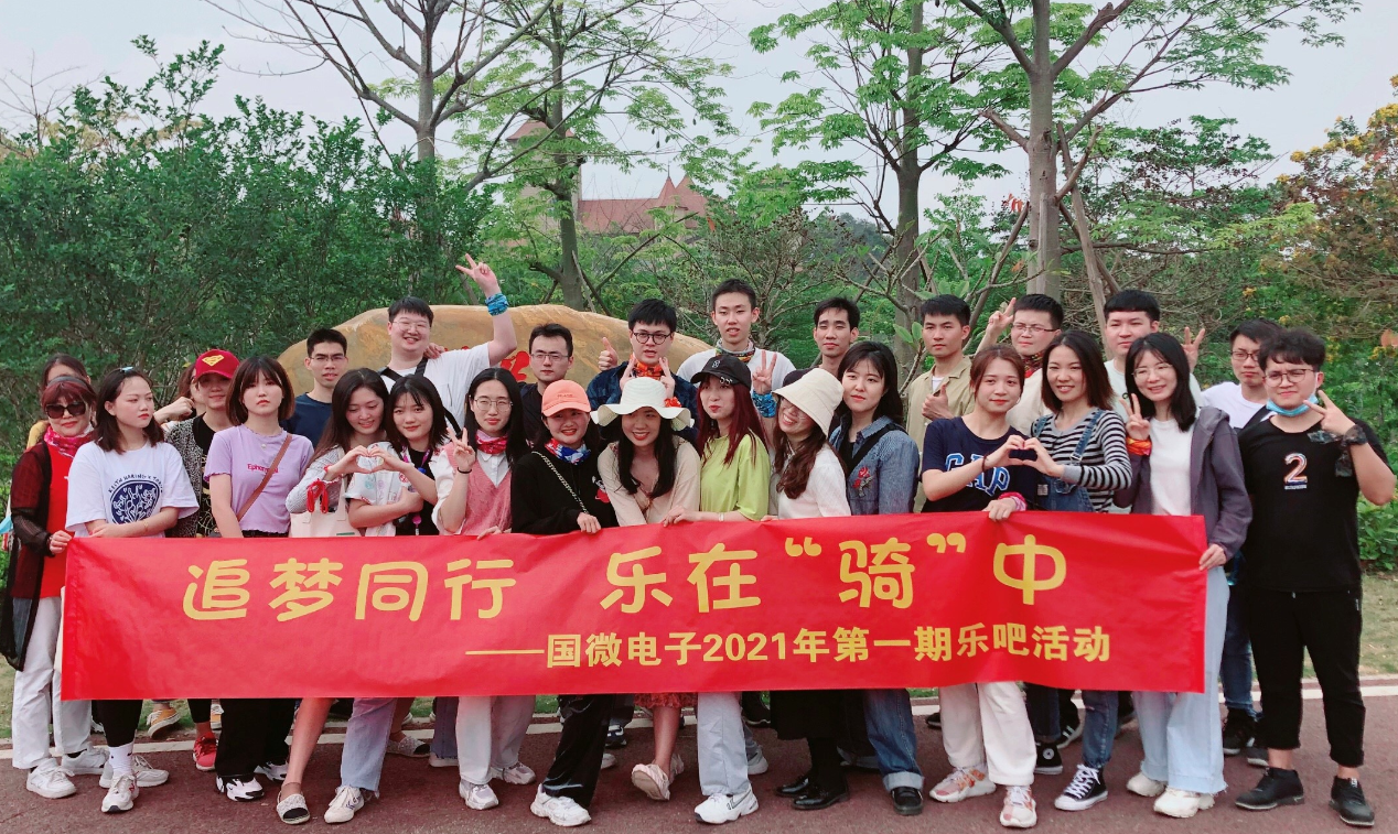 国微|微电子|芯片