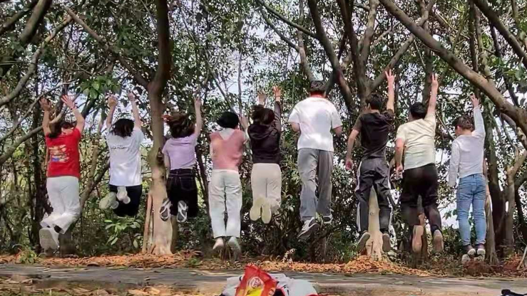 国微|微电子|芯片