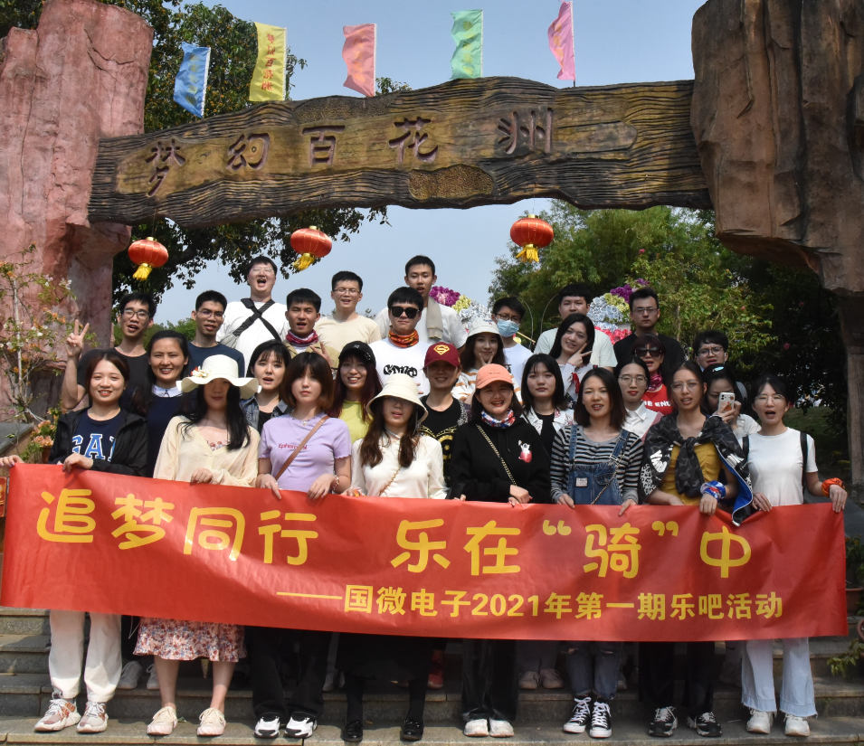 国微|微电子|芯片