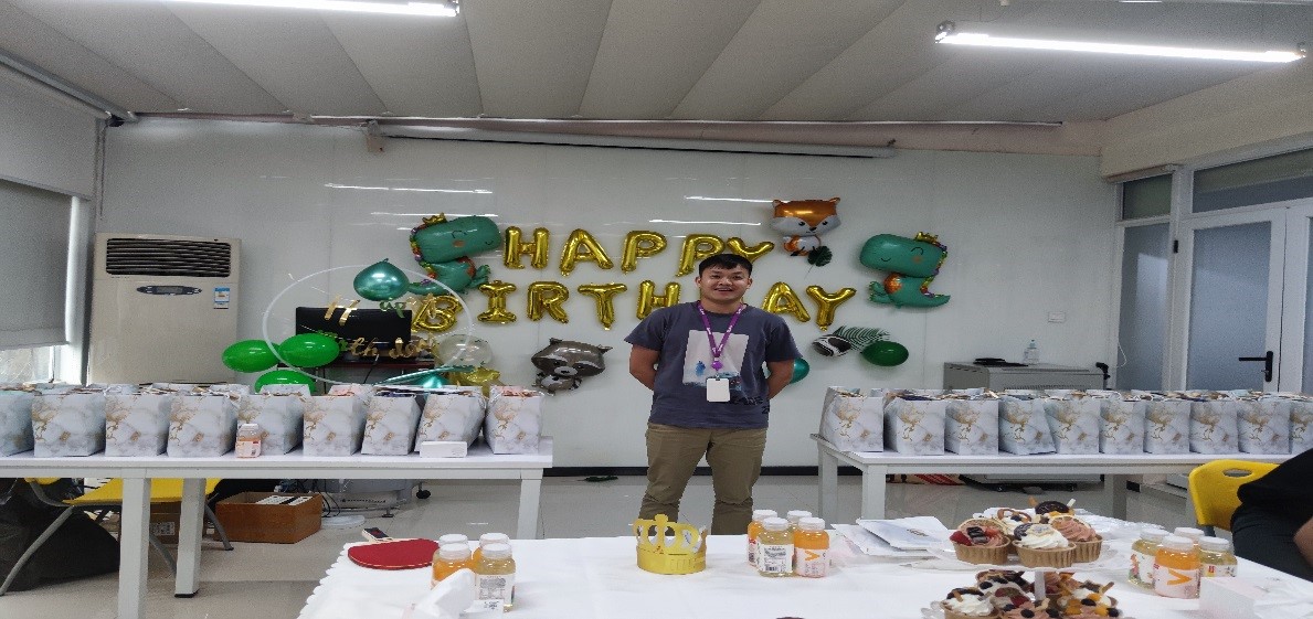 国微|微电子|芯片 国微|微电子|芯片