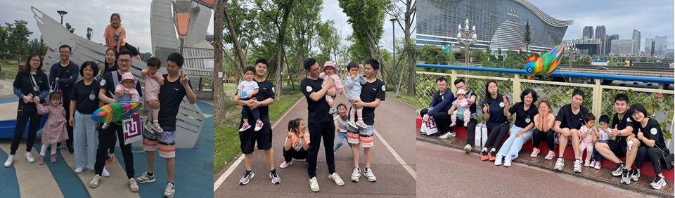 国微|微电子|芯片 国微|微电子|芯片