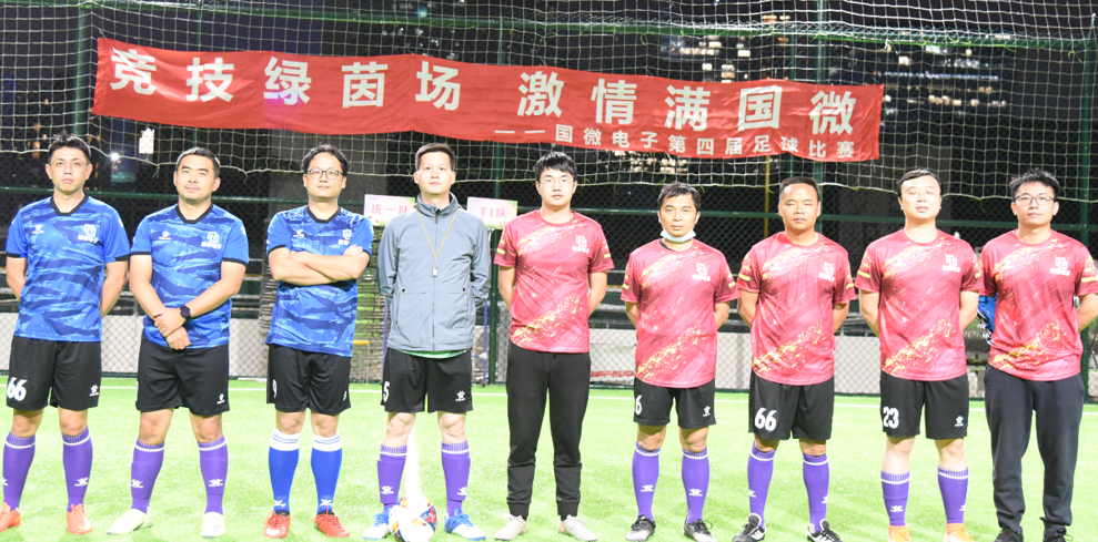 国微|微电子|芯片 国微|微电子|芯片