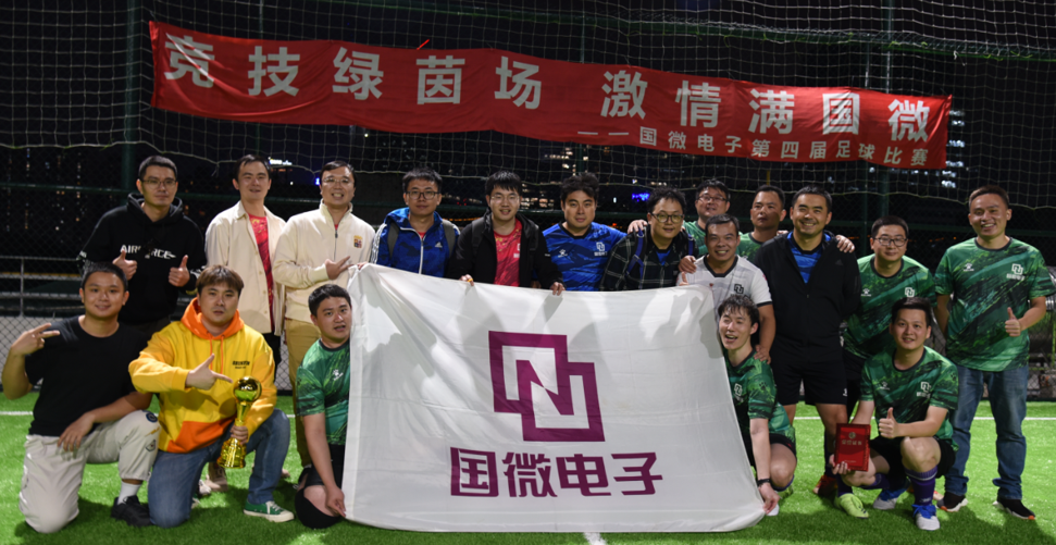 国微|微电子|芯片 国微|微电子|芯片