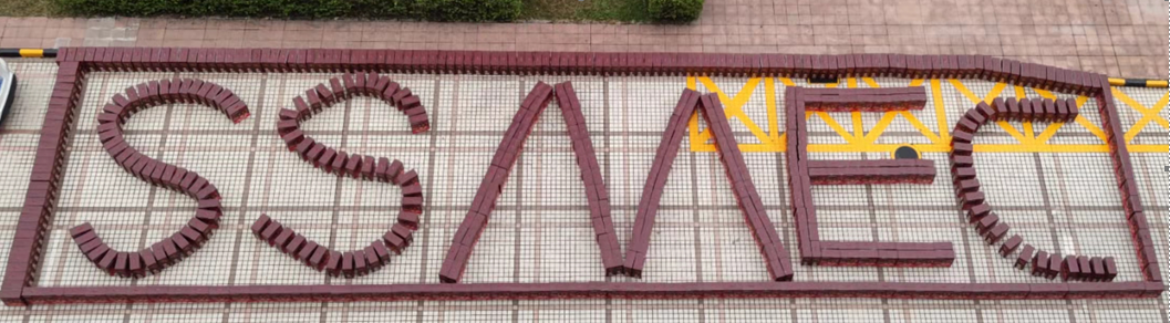 国微|微电子|芯片 国微|微电子|芯片