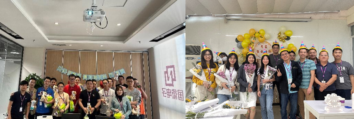 国微|微电子|芯片 国微|微电子|芯片