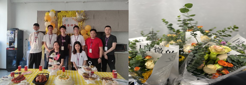 国微|微电子|芯片 国微|微电子|芯片