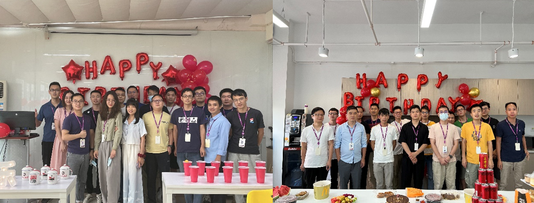 国微|微电子|芯片 国微|微电子|芯片