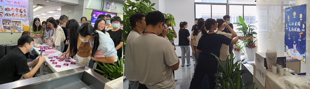 国微|微电子|芯片 国微|微电子|芯片