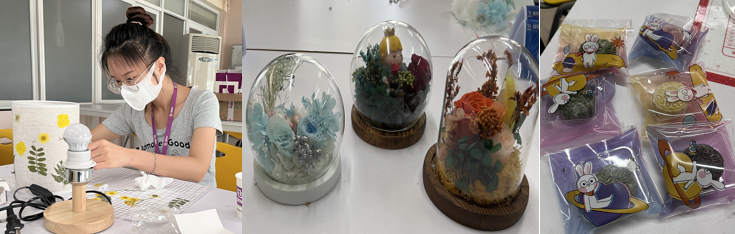 国微|微电子|芯片 国微|微电子|芯片