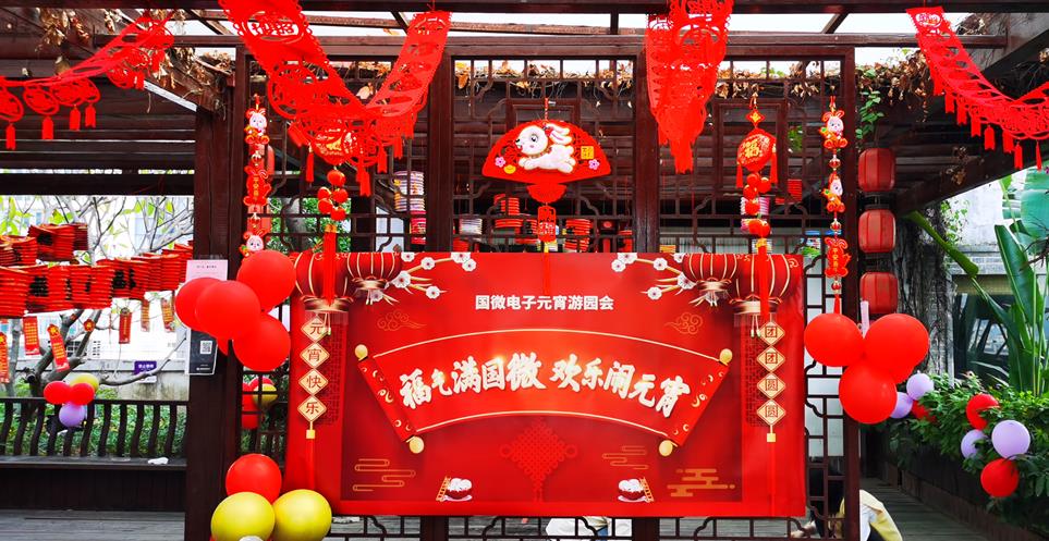 国微|微电子|芯片 国微|微电子|芯片