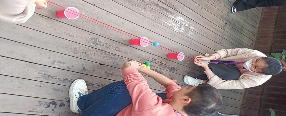 国微|微电子|芯片 国微|微电子|芯片