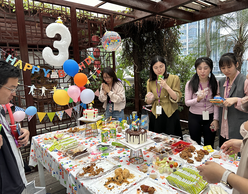 国微|微电子|芯片 国微|微电子|芯片