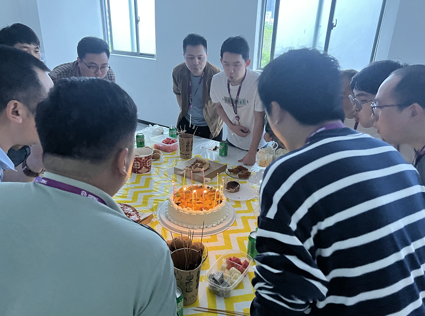 国微|微电子|芯片 国微|微电子|芯片