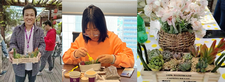 国微|微电子|芯片 国微|微电子|芯片