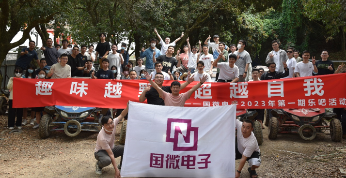 国微|微电子|芯片