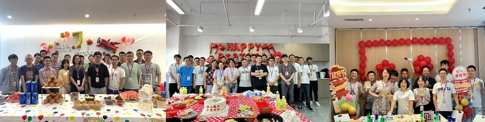 国微|微电子|芯片 国微|微电子|芯片