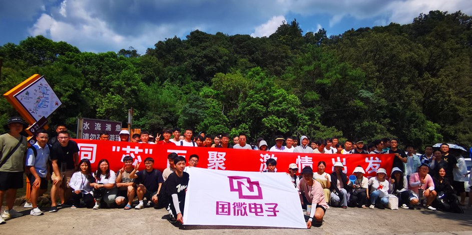 国微|微电子|芯片 国微|微电子|芯片