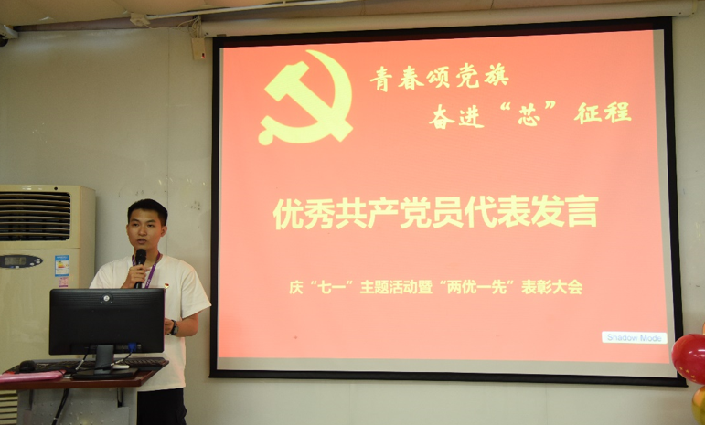 国微|微电子|芯片 国微|微电子|芯片