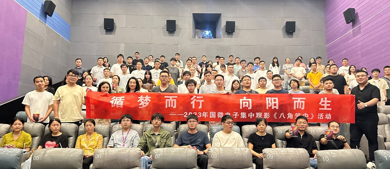 国微|微电子|芯片 国微|微电子|芯片