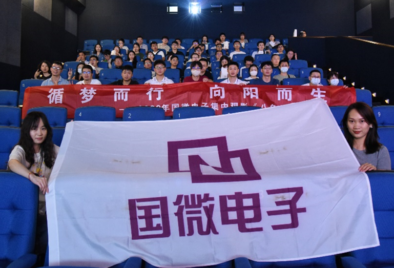 国微|微电子|芯片 国微|微电子|芯片