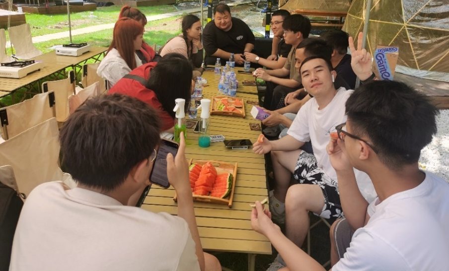 国微|微电子|芯片 国微|微电子|芯片