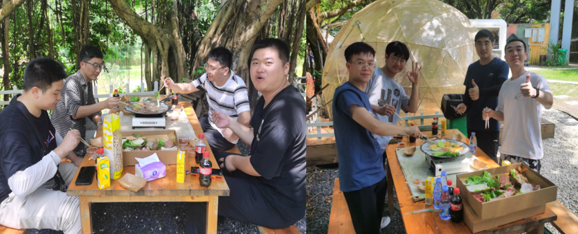 国微|微电子|芯片 国微|微电子|芯片