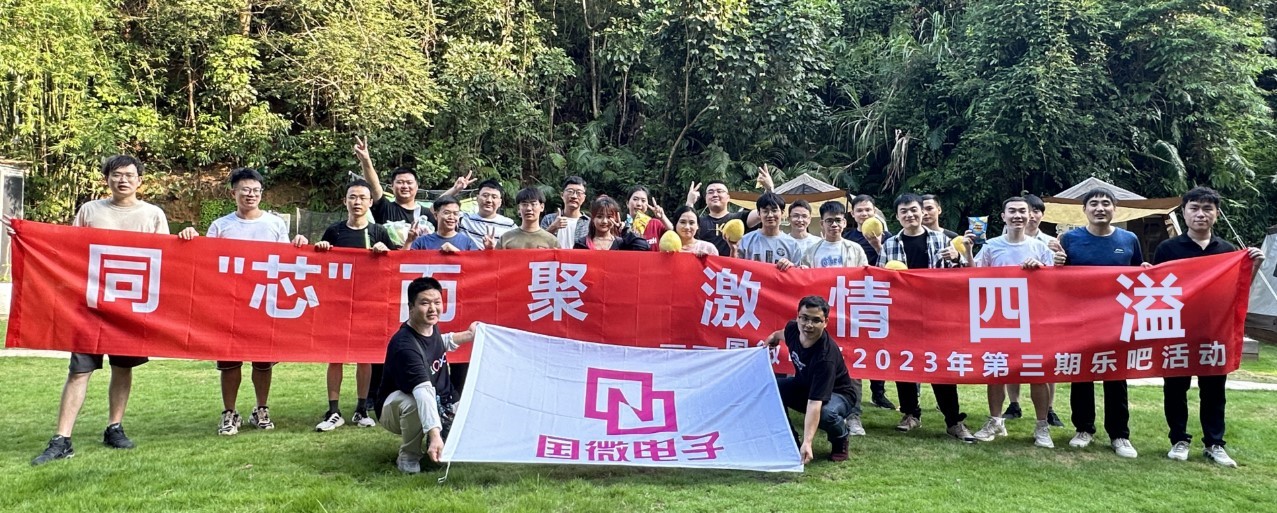 国微|微电子|芯片 国微|微电子|芯片