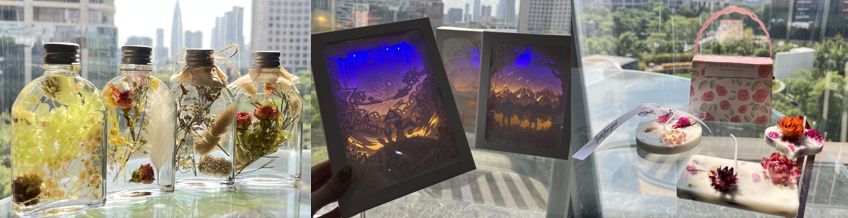 国微|微电子|芯片 国微|微电子|芯片