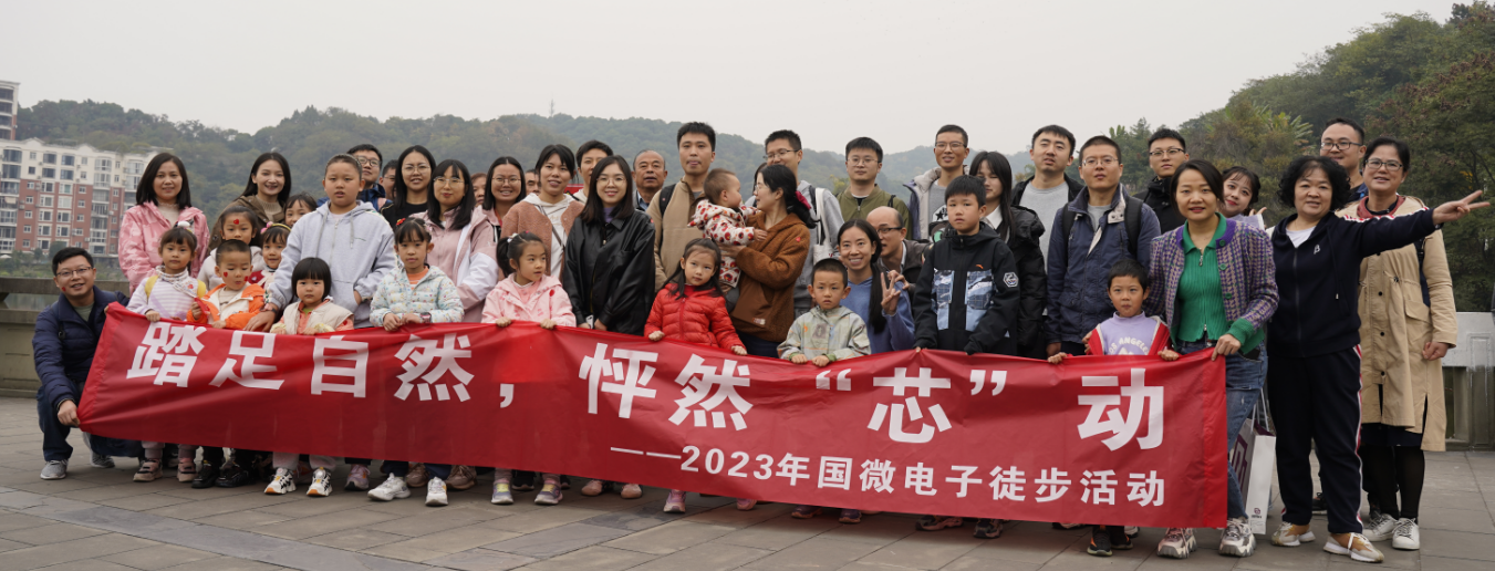 国微|微电子|芯片 国微|微电子|芯片