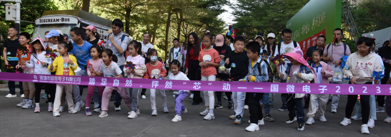 国微|微电子|芯片 国微|微电子|芯片