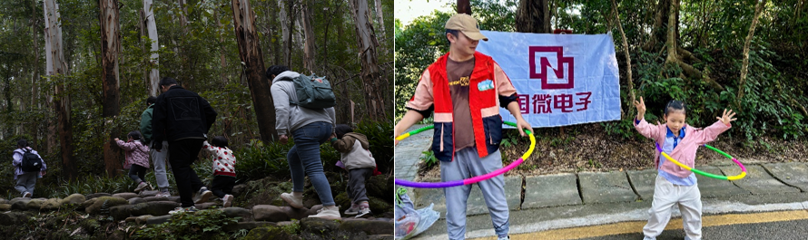 国微|微电子|芯片 国微|微电子|芯片