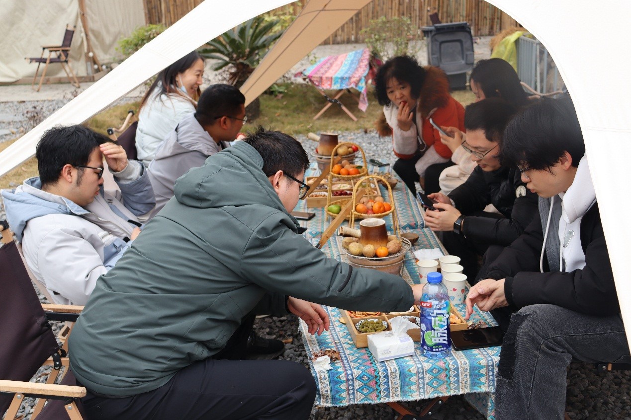 国微|微电子|芯片 国微|微电子|芯片