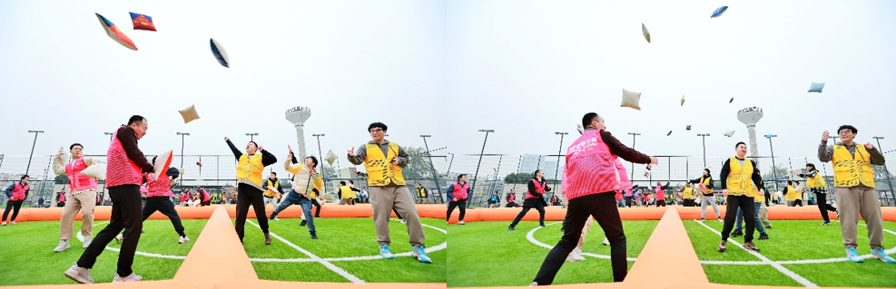 国微|微电子|芯片 国微|微电子|芯片