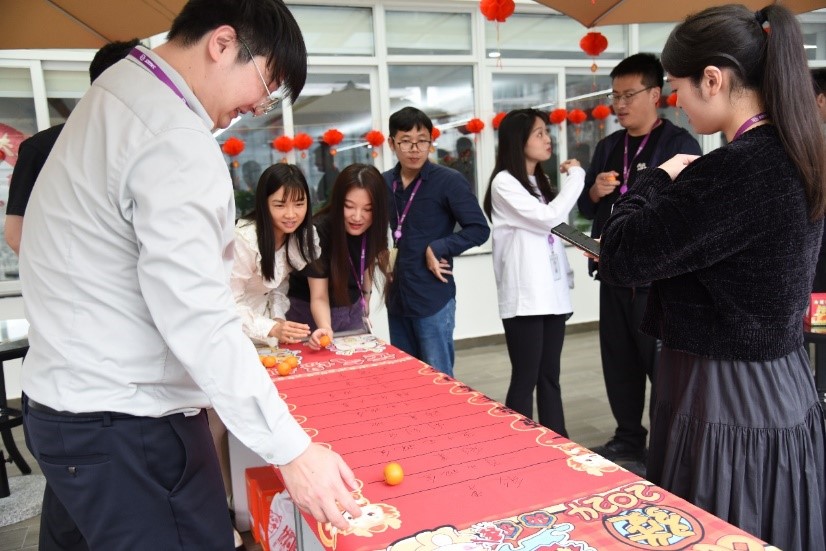 国微|微电子|芯片