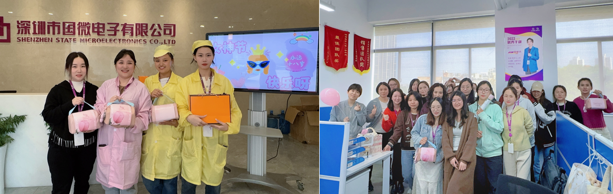 国微|微电子|芯片 国微|微电子|芯片