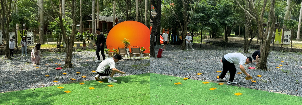 国微|微电子|芯片