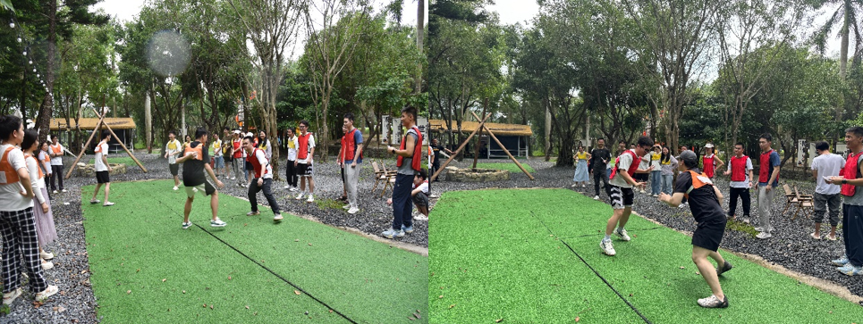 国微|微电子|芯片