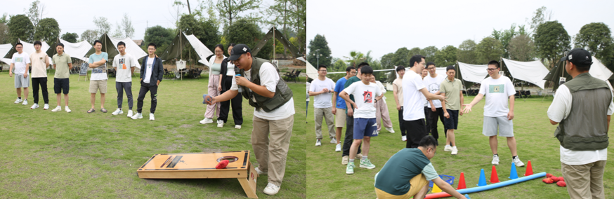 国微|微电子|芯片 国微|微电子|芯片