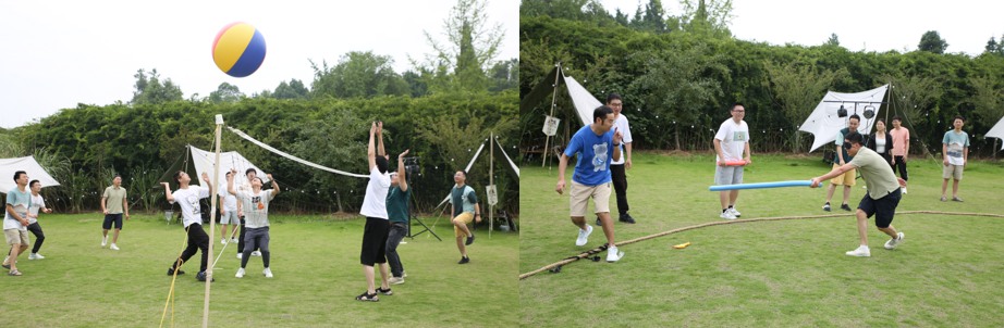 国微|微电子|芯片 国微|微电子|芯片