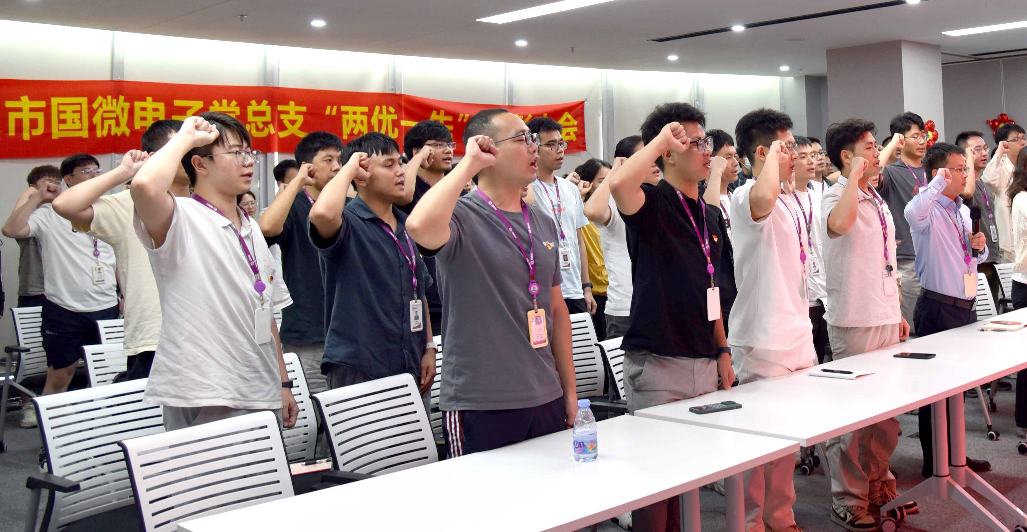 国微|微电子|芯片