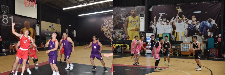 国微|微电子|芯片