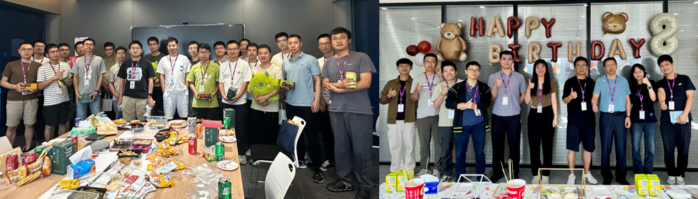 国微|微电子|芯片