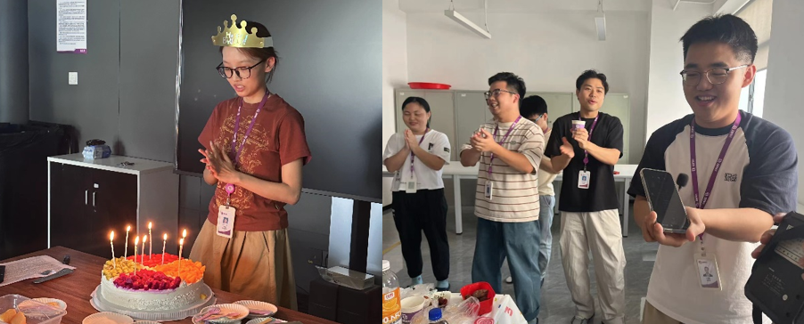 国微|微电子|芯片