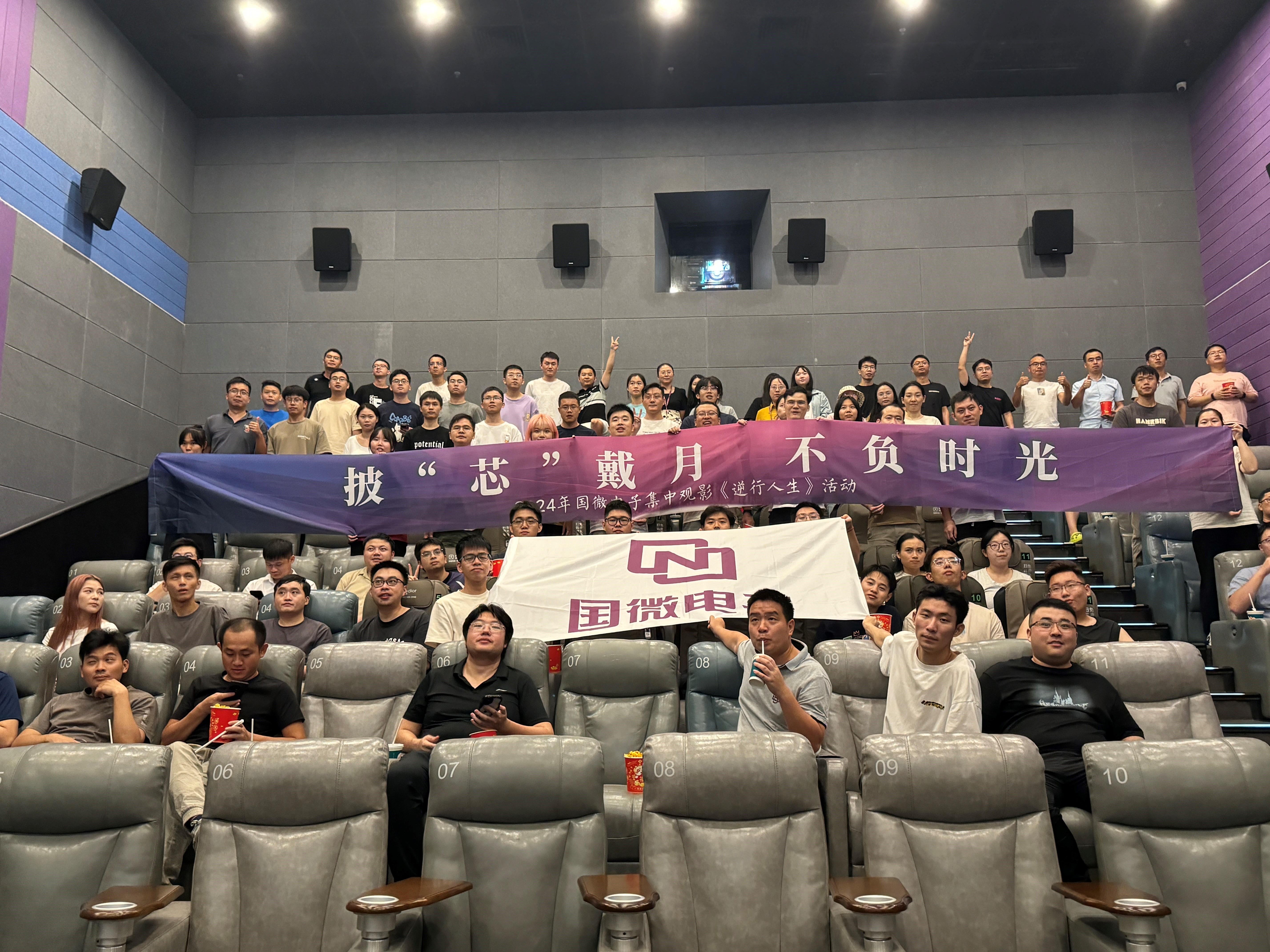 国微|微电子|芯片