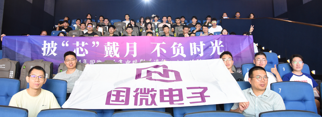 国微|微电子|芯片