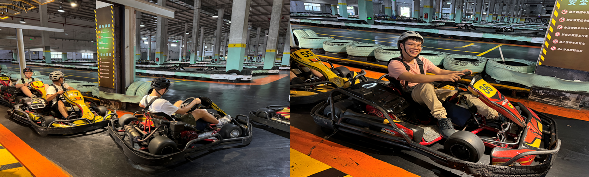 国微|微电子|芯片