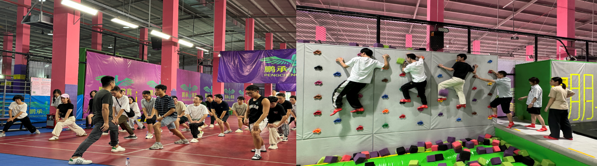 国微|微电子|芯片