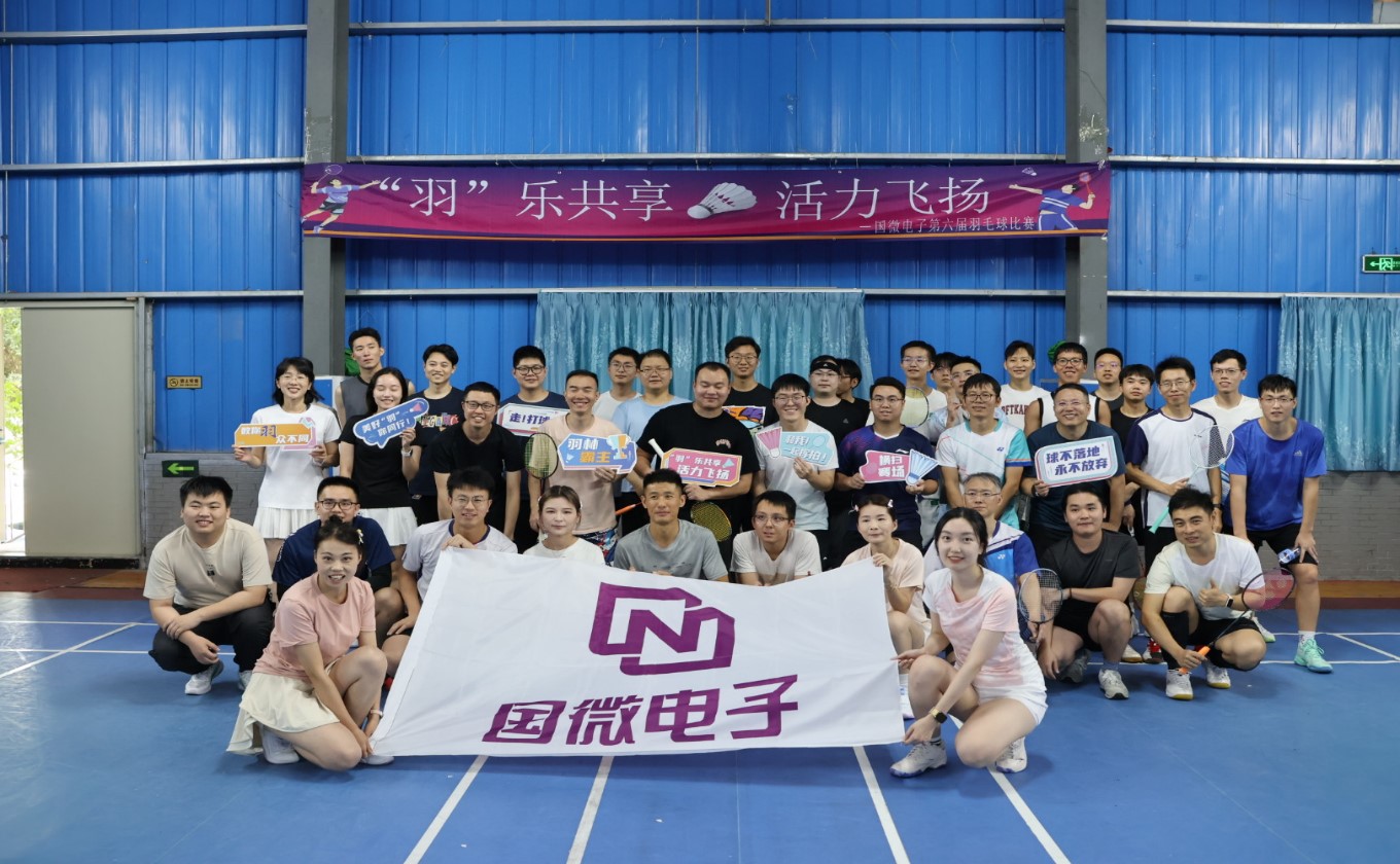 国微|微电子|芯片